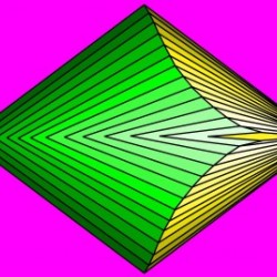 Golden Pyramid Fish